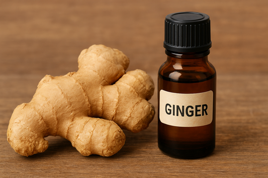 Ginger Essential Oil: The Warming Spark for Circulation, Pain Relief, and Radiant Skin