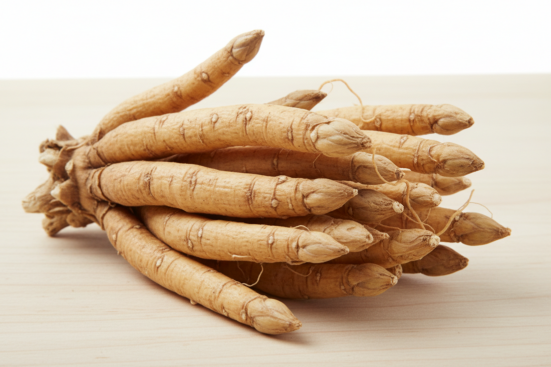 The Queen of Herbs: Discovering Shatavari Root in One for the Ladies